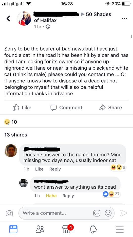Woman Finds Dead Cat, Hilarity Ensues