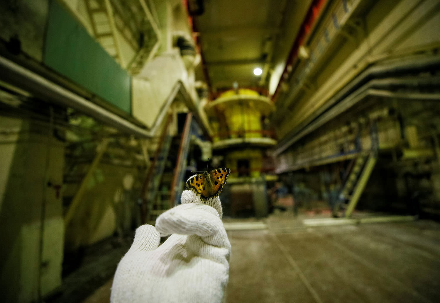 Chernobyl disaster butterfly lands on a workers glove in reactor 3 pump room