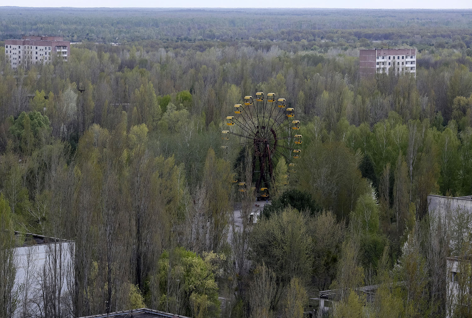 chernobyl forest and Pripyat ferris wheel