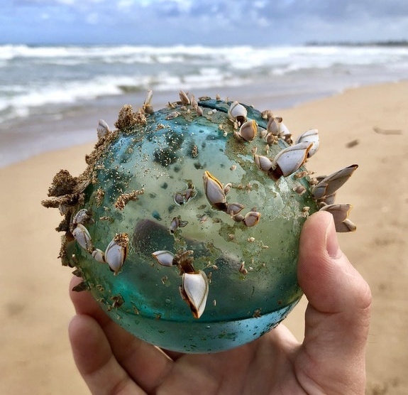 “I found this glass ball that had become the home to a small marine ecosystem.”