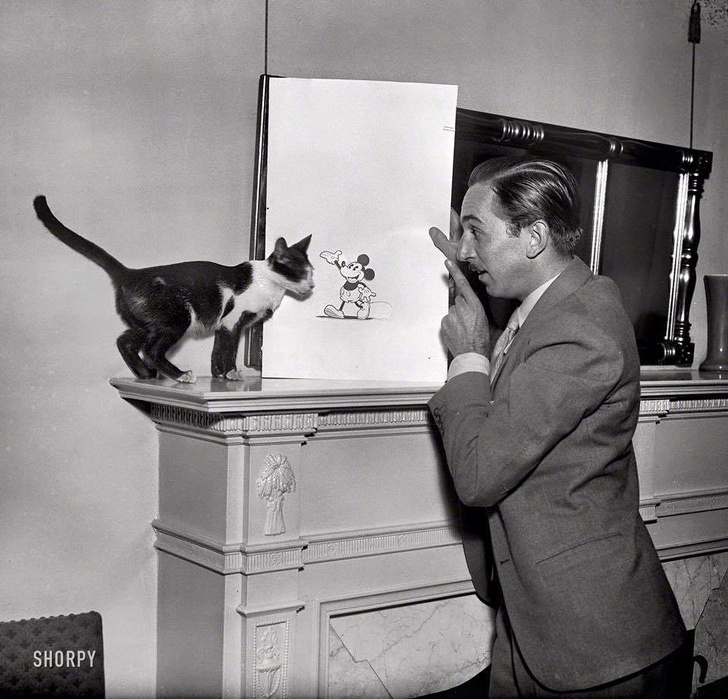 Walt Disney, Mickey Mouse, and Disney’s cat, 1931