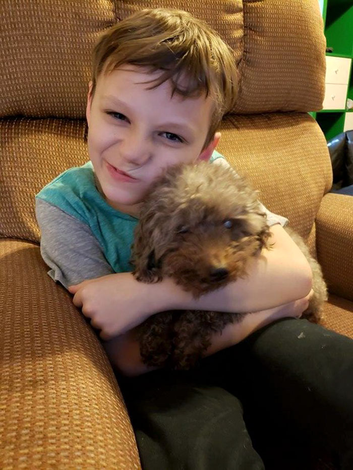 This Little Boy Adopted The Oldest Dog In The Shelter. Tristan Was Bullied At School And Shey's Owners Left Him Behind When They Moved. Now They Both Have A New Best Friend