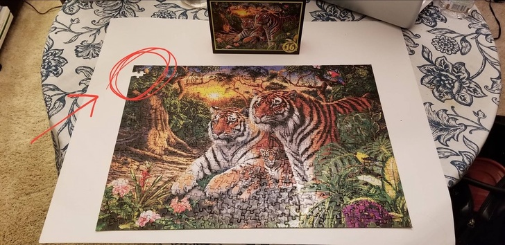 “The girlfriend and I bought a 500 piece puzzle and spent 3 hours putting it together tonight. Looks like we got a 499 piece puzzle instead.”