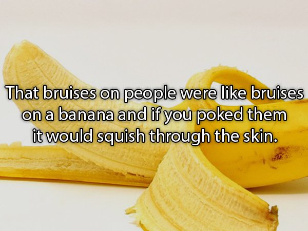 banana - That bruises on people were bruises on a banana and if you poked them it would squish through the skin.