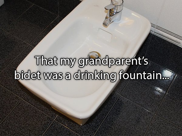 bathroom sink - That my grandparent's bidet was a drinking fountain....