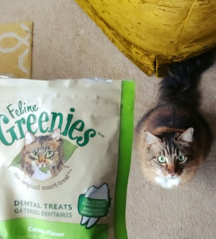 “My cat looks exactly like the cat on her treat bag.”