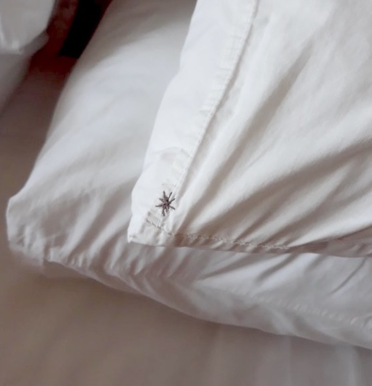 “The pillowcases at our hotel have a tiny ’palm tree’ stitched onto them.”