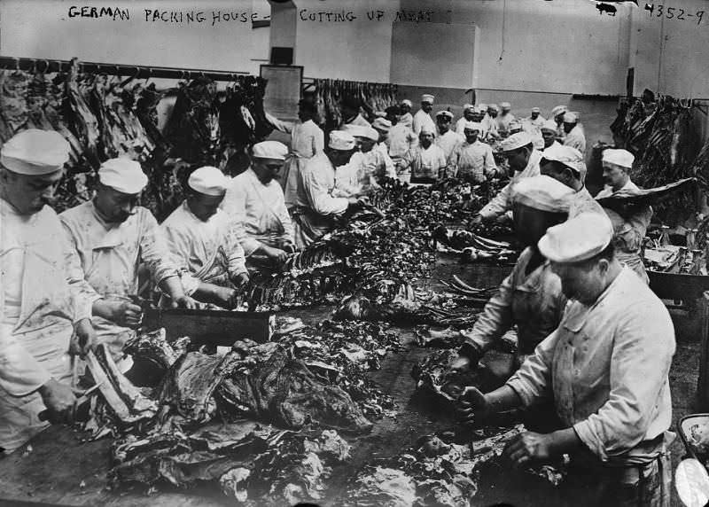 Cutting and packing beef in Germany in 1908.