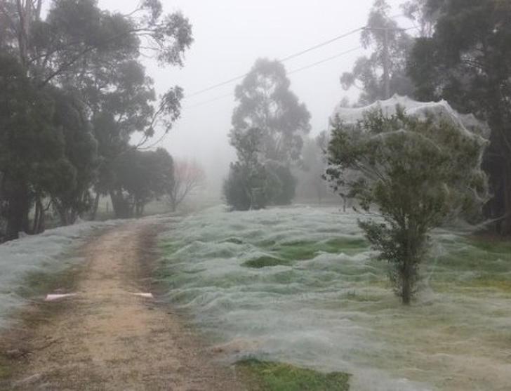 Nope, it’s not snow. It’s Australia.