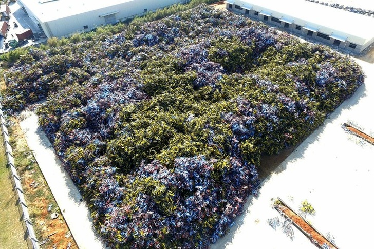 It’s not a flower bed but rather, a cemetery of bicycles.