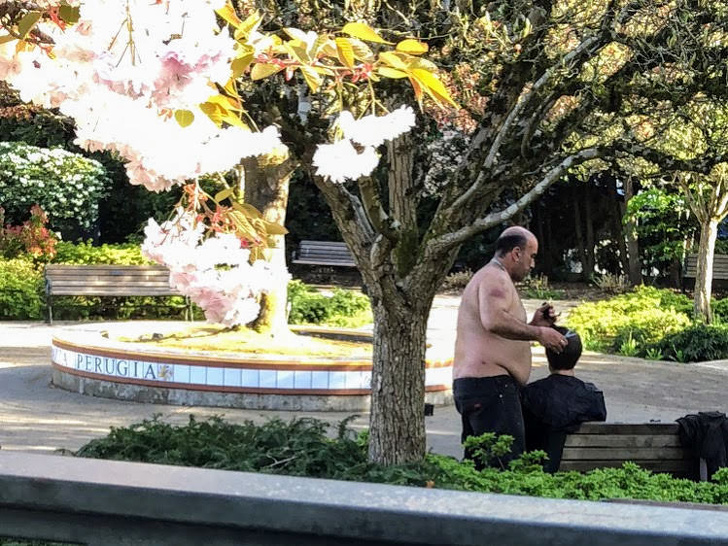 Just a man cutting another guy’s hair in the park...