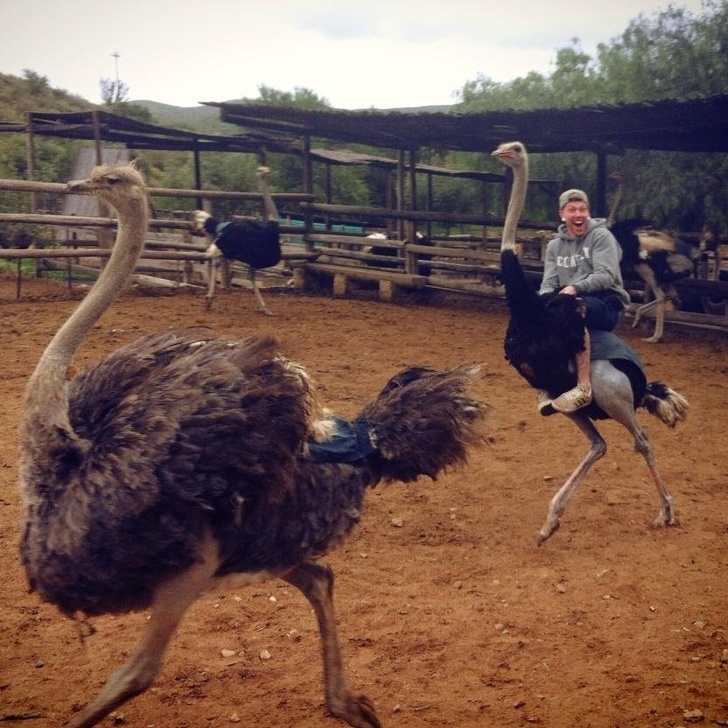 “So my friend rode an ostrich in Africa. It might have been the happiest a person could be.”