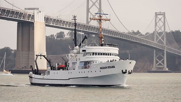 In 2013 he founded The Ocean Cleanup and launched an expedition to research the problem