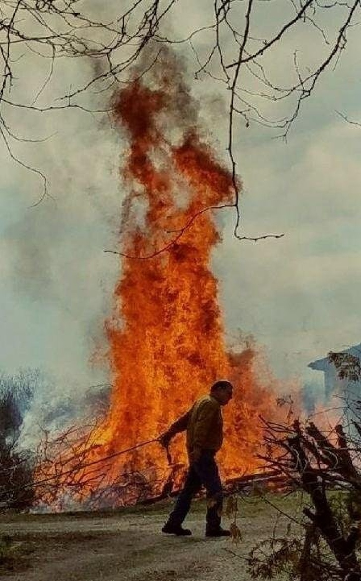 “My mom sent me this photo of a guy burning wood behind her house. Looked like a promo poster for an upcoming horror film.”