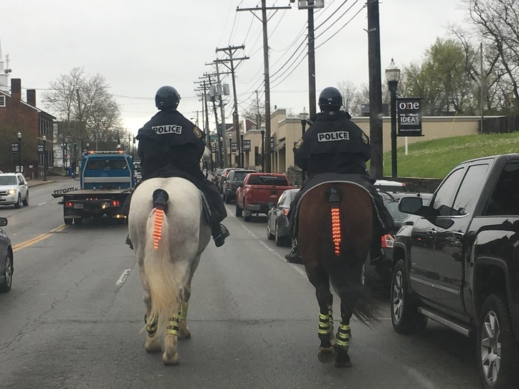 These mounted police officers have “tail lights”.
