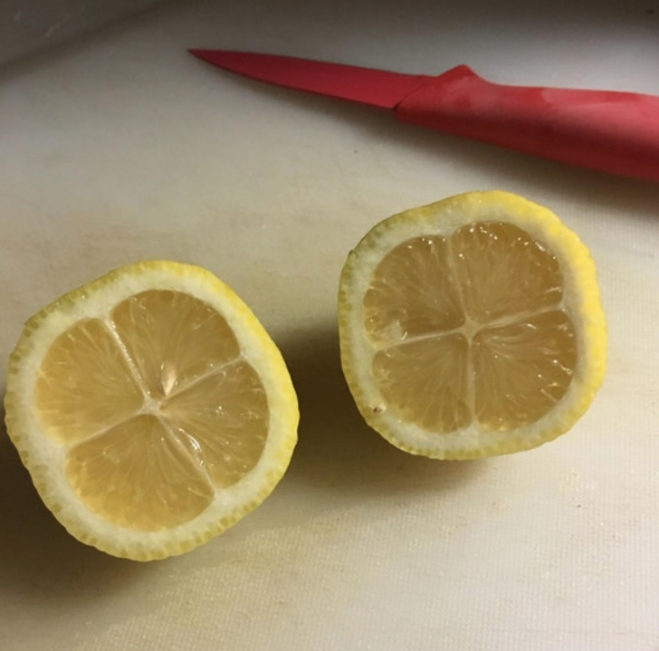 A lemon with only 4 segments