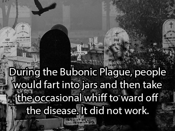 Cemetery - 40 During the Bubonic Plague, people would fart into jars and then take the occasional whiff to ward off the disease. It did not work.