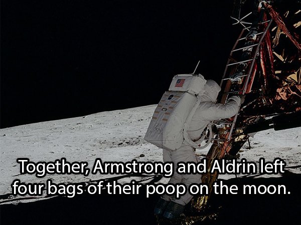 apollo 11 shadow - Together, Armstrong and Aldrin left four bags of their poop on the moon.