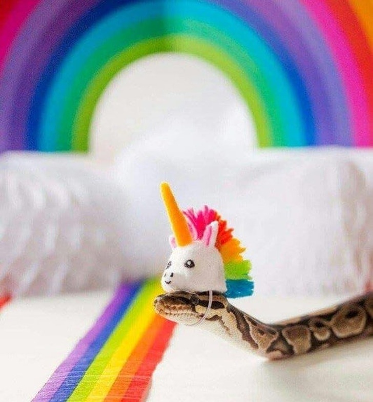 snake and unicorn