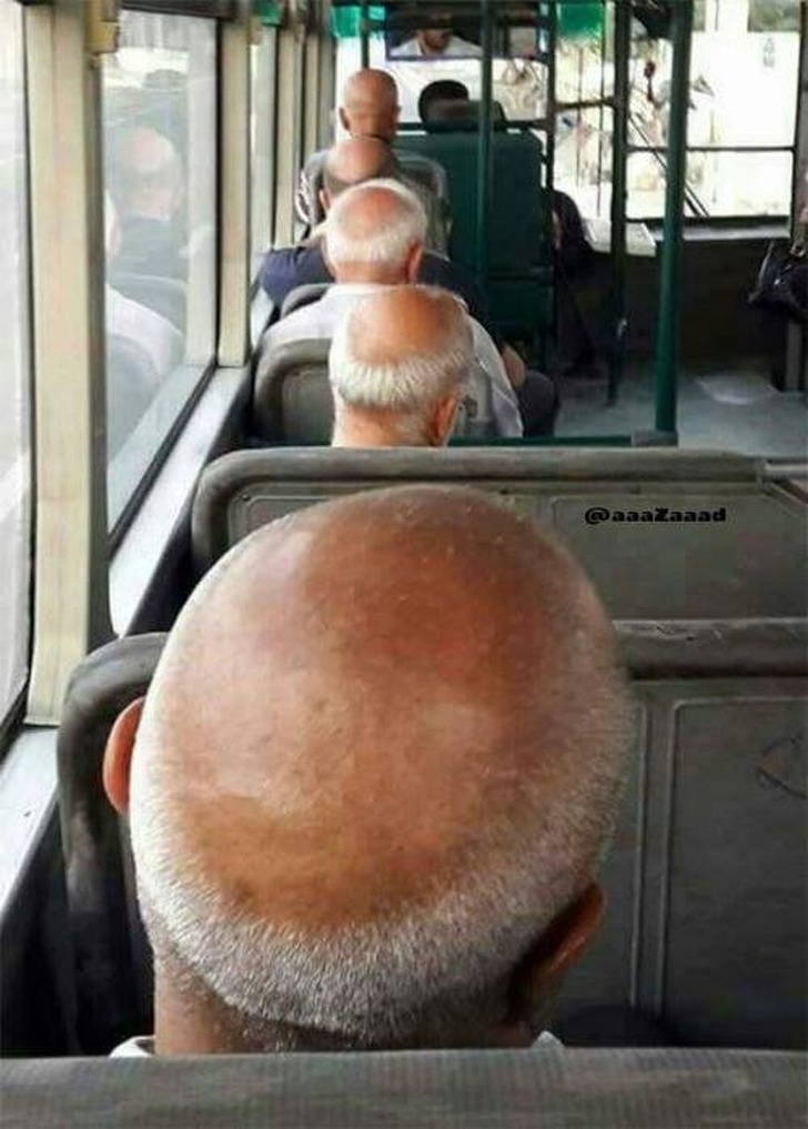 balding bus -