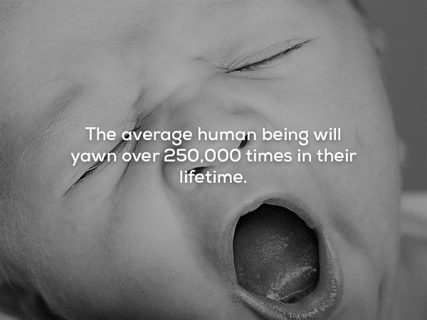 25 mind-blowing facts about human life