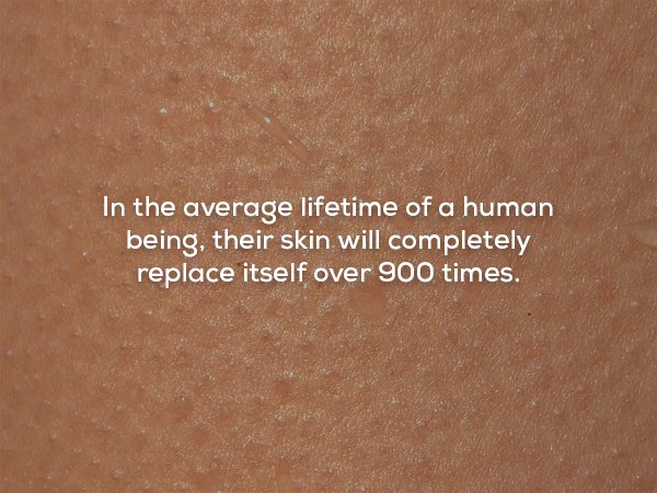 25 mind-blowing facts about human life