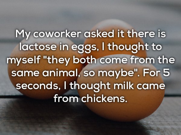 20 dumbest mistakes people have ever made