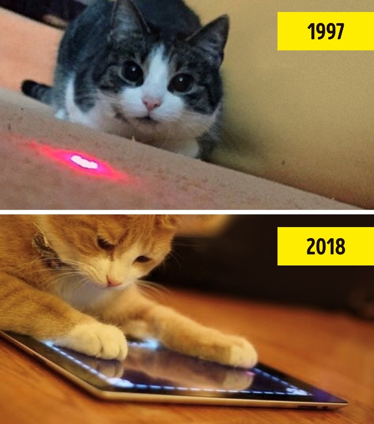 Only real ’90s cats will understand.