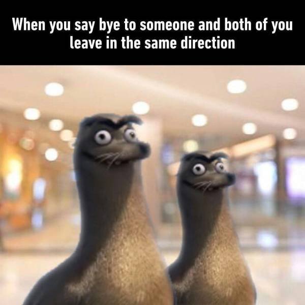 you say bye but you walk - When you say bye to someone and both of you leave in the same direction