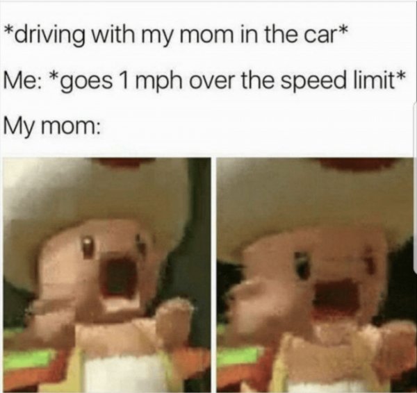blurry memes - driving with my mom in the car Me goes 1 mph over the speed limit My mom