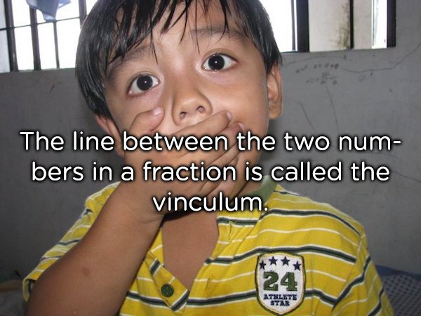 20 completely useless facts to fill your head with