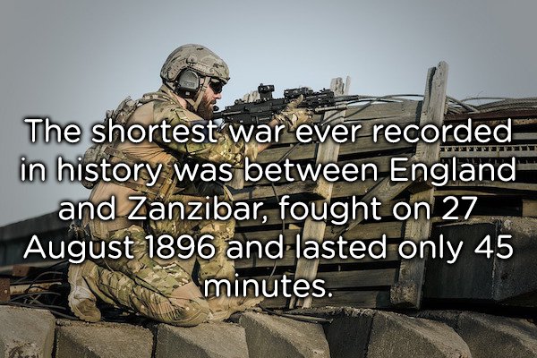 20 completely useless facts to fill your head with