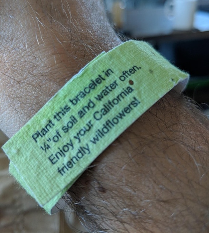 A bracelet you can plant in the soil and eventually get a flower