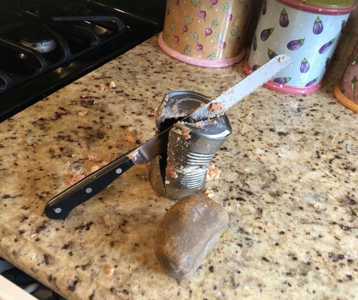 “My roommate got drunk last night and I woke up to this in the kitchen this morning...Shall I move out?”