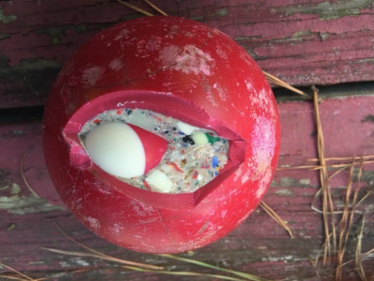 Pool balls found inside of a bocce ball