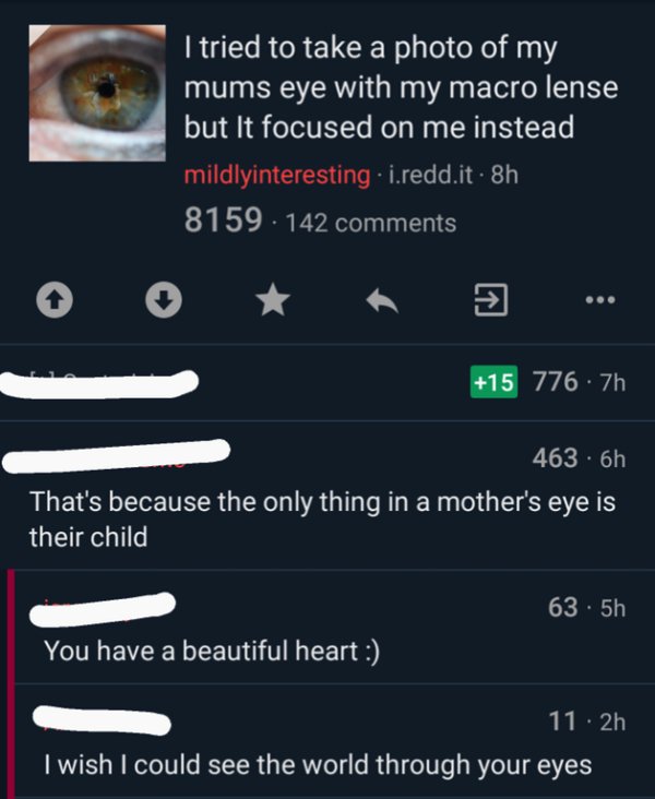 wholesome meme of screenshot - I tried to take a photo of my mums eye with my macro lense but It focused on me instead 'mildlyinteresting.i.redd.it. 8h 8159 142 15 776 7h 463 6h That's because the only thing in a mother's eye is their child 63.5h You have
