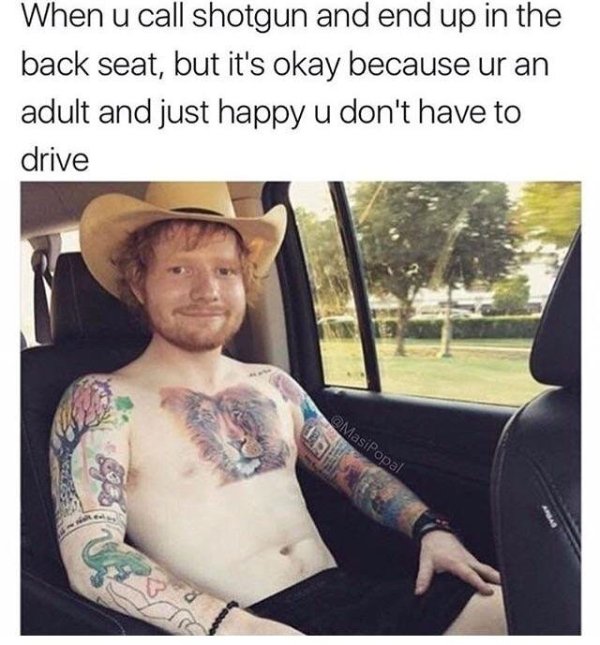 wholesome meme of ed sheeran lion tattoo - When u call shotgun and end up in the back seat, but it's okay because ur an adult and just happy u don't have to drive