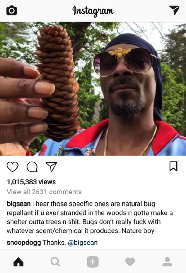 wholesome meme of bear grylls x - Instagram Op 1,015,383 views View all 2631 bigsean I hear those specific ones are natural bug repellant if u ever stranded in the woods n gotta make a shelter outta trees n shit. Bugs don't really fuck with whatever scent