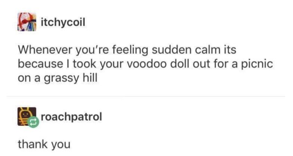 wholesome meme of diagram - itchycoil Whenever you're feeling sudden calm its because I took your voodoo doll out for a picnic on a grassy hill roachpatrol thank you