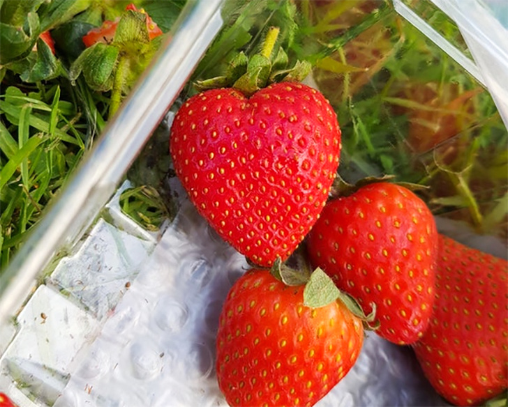 A heart-shaped strawberry