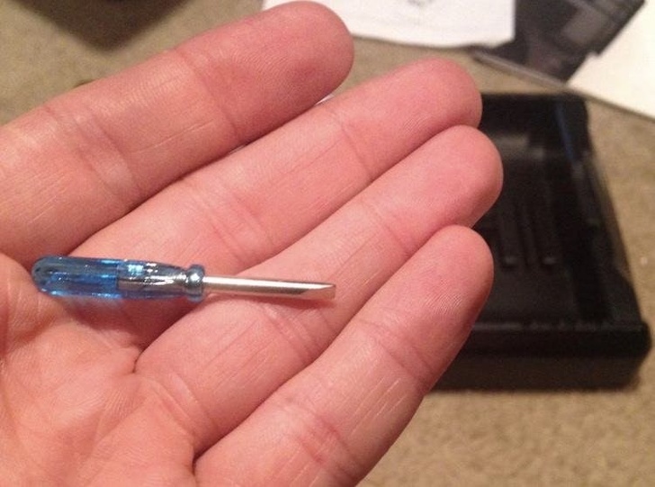 A tiny screwdriver