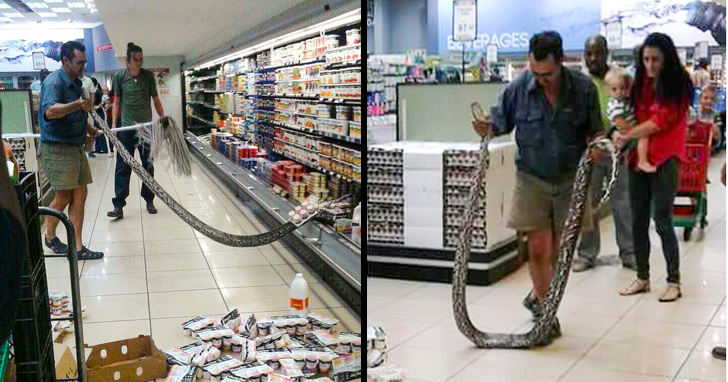 A man found a 4-meter-long snake in a supermarket fridge in Johannesburg, South Africa.