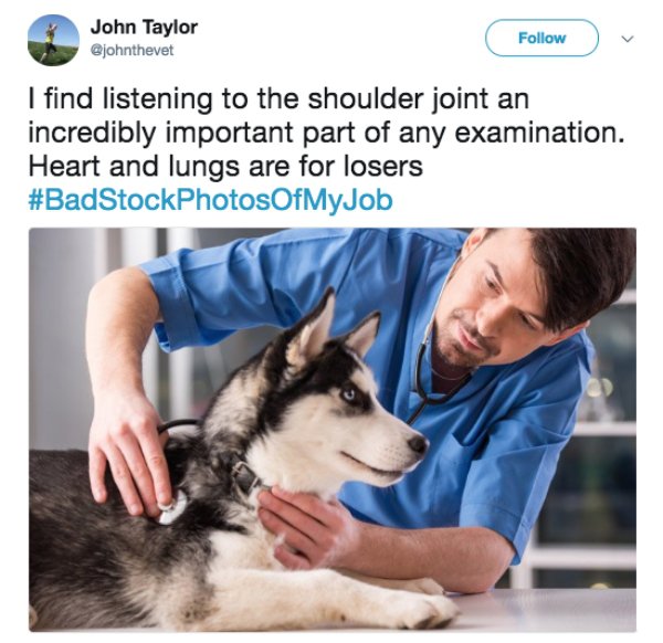 30 hilariously bad stock photos of jobs