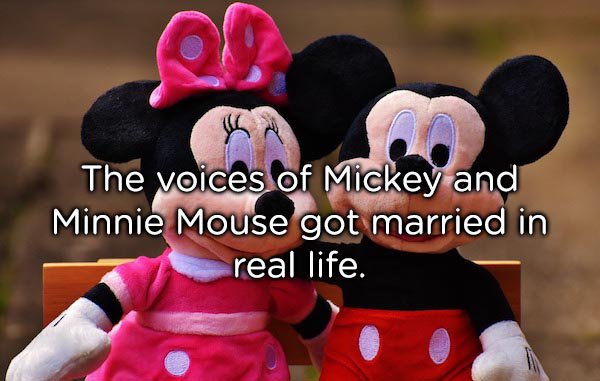The voices of Mickey and Minnie Mouse got married in real life.