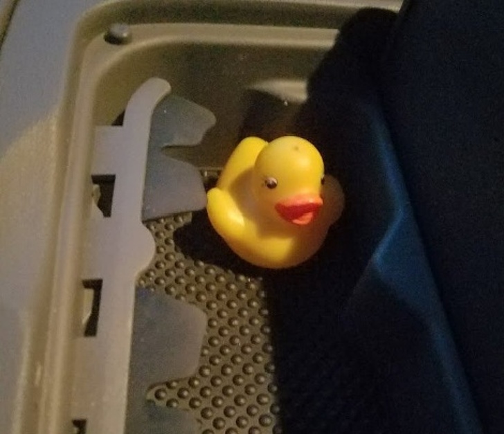“My dad always found rubber ducks while on walks and hid them around for his version of good luck. He passed away 4 years ago, and we thought we had found them all. Tonight, I opened the back seat cupholder of my car for apparently the first time in a while. Dad, you’re a genius.”