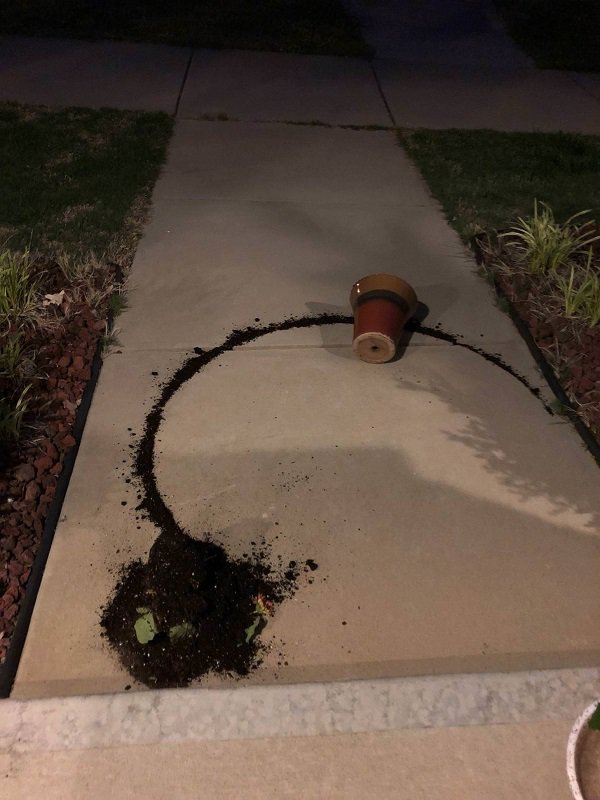Knocked over a flower pot and the spill formed a near perfect circle.