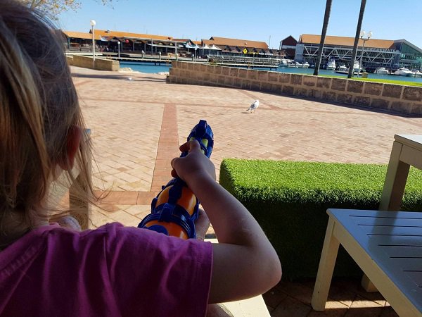 Seaside restaurant comes with squirt guns to ward off annoying seagulls.