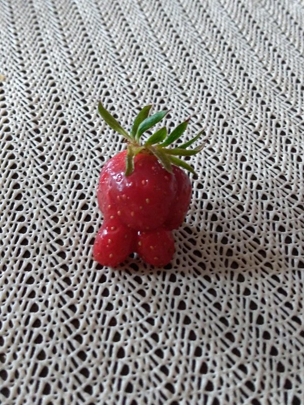A strawberry with feet.