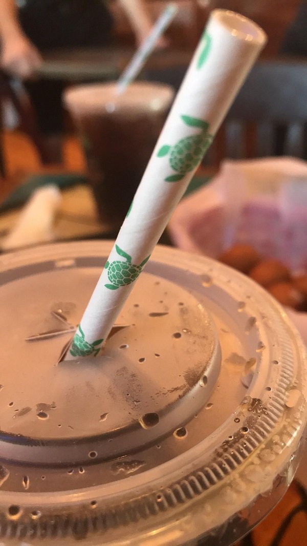 This paper “save the turtles” straw.