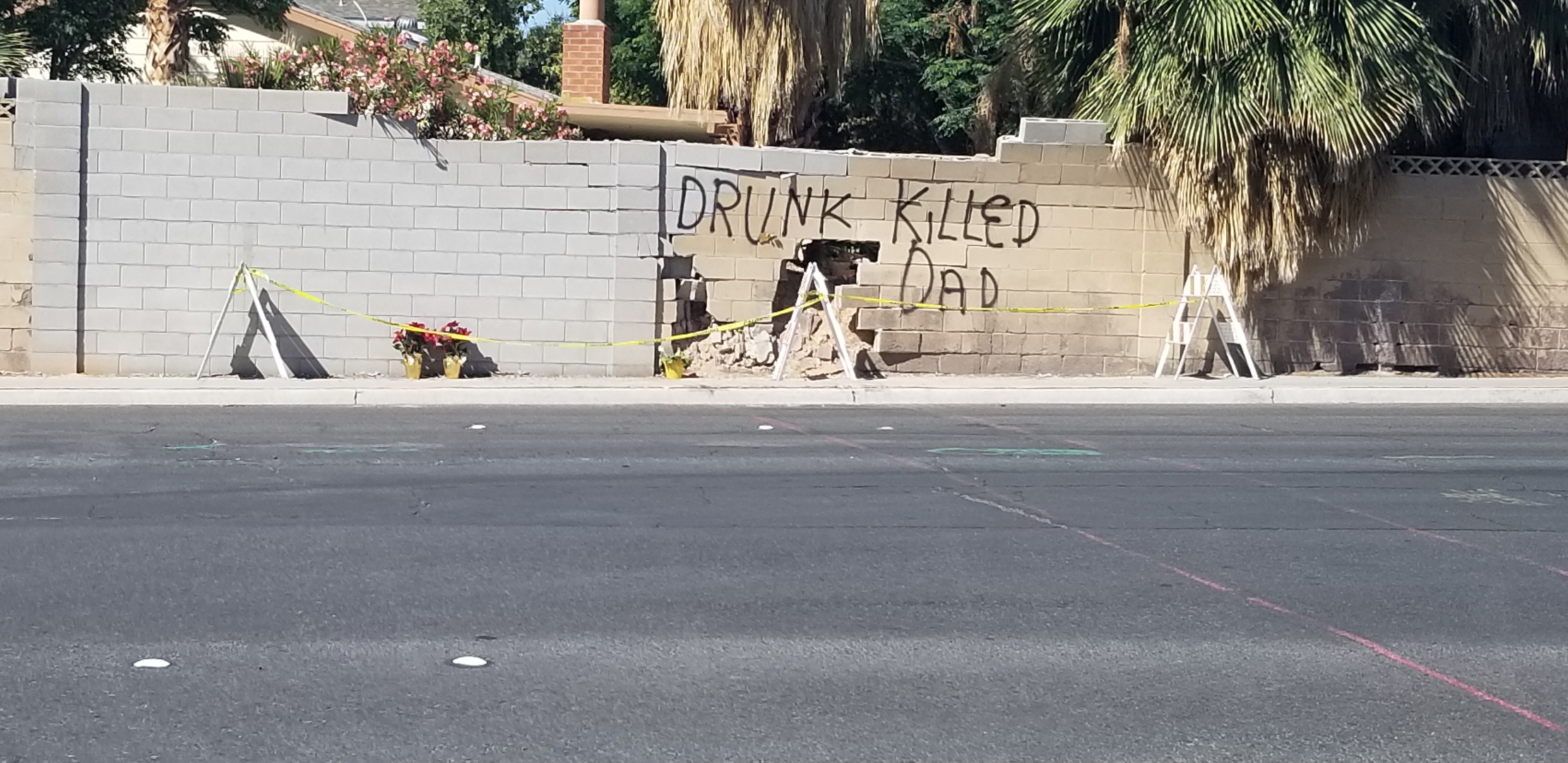 Fuck Drunk Drivers